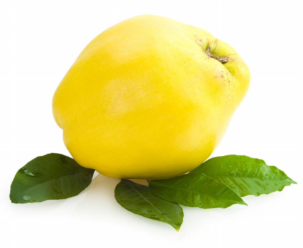 membrillo2