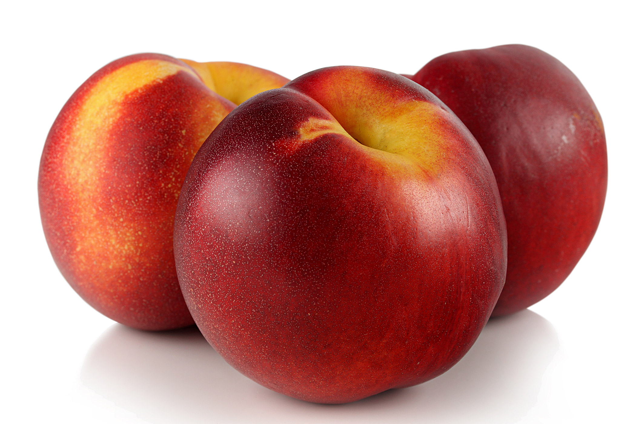 plantnet-rootstock-nectarine-Super-dwarf-sunset4